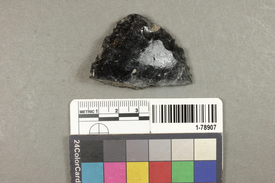 Hearst Museum object titled Scraper, accession number 1-78907, described as Obsidian.