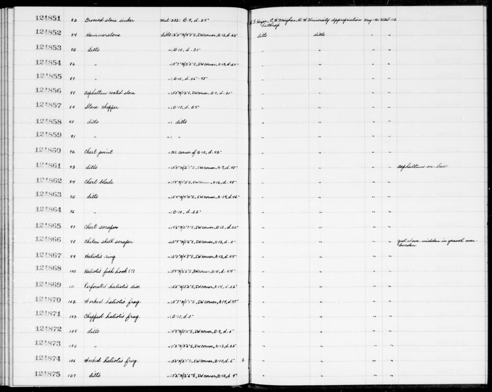 Documentation associated with Hearst Museum object titled Shell fragment, accession number 1-124871, described as Chipped.