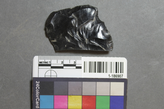 Hearst Museum object titled Blade fragment, accession number 1-186907, described as Obsidian