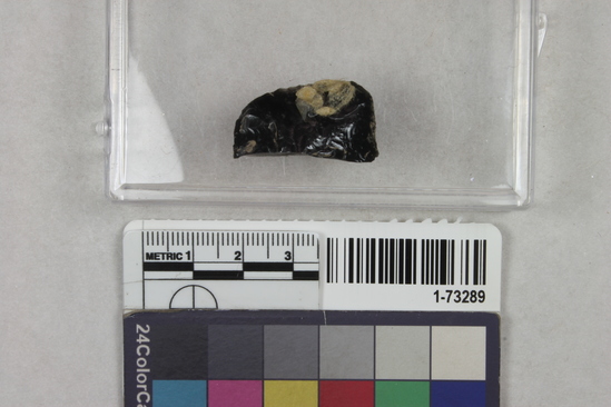 Hearst Museum object titled Point, accession number 1-73289, described as Obsidian point fragment