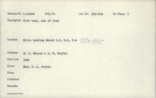 Documentation associated with Hearst Museum object titled Faunal remains, accession number 1-11302, described as Bird. End of limb.
