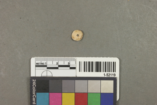 Hearst Museum object titled Bead, accession number 1-52119, described as Olivella, disc.