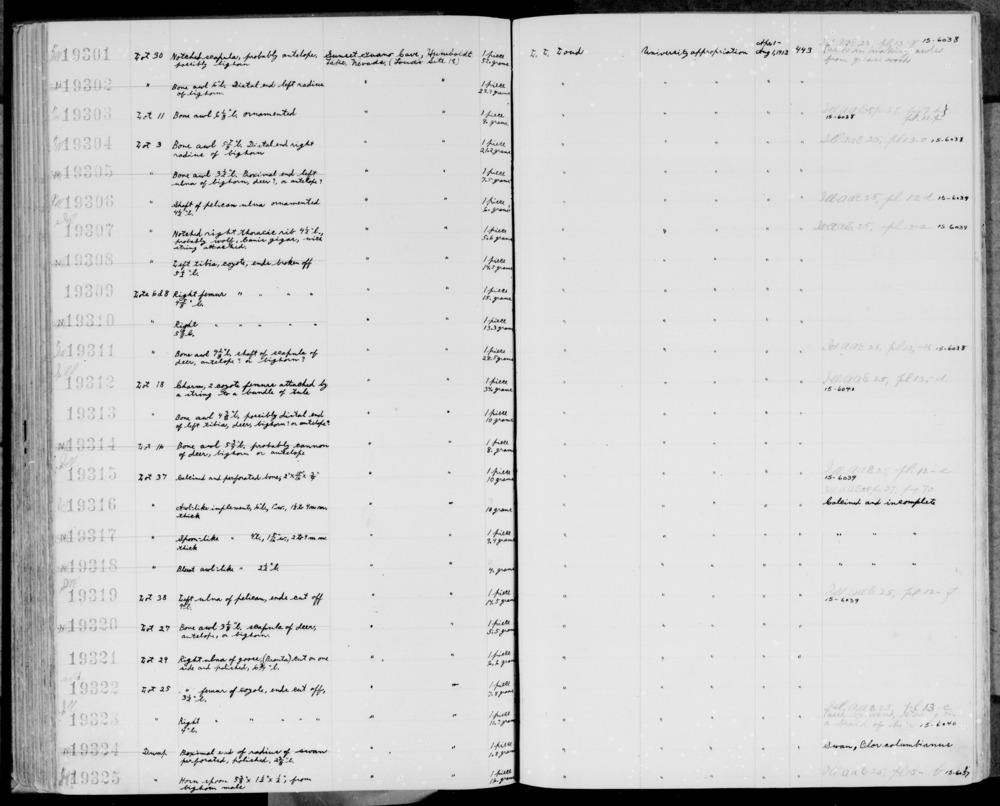 Documentation associated with Hearst Museum object titled Awl, accession number 1-19303, described as Bone.  Long, ornamented.