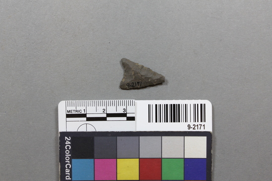 Hearst Museum object titled Point, accession number 9-2171, described as Chipped stone point.