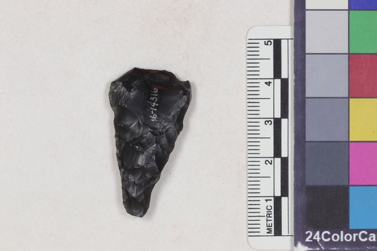 Hearst Museum object 2 of 2 titled Projectile point fragment, accession number 16-14316, described as Projectile point fragment; obsidian; triangular; weight: 4.6 grams; length: 3.8 cm; width: 2.1 cm; depth: 0.7 cm; straight sides; convex, thinned base.