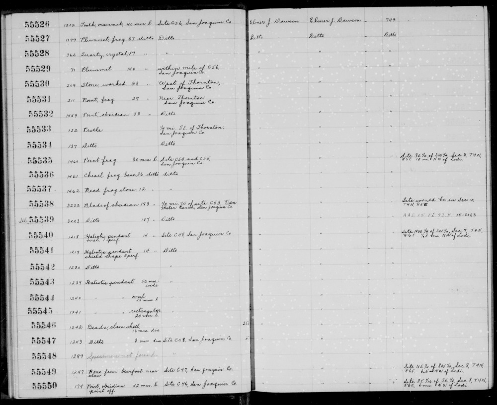 Documentation associated with Hearst Museum object titled Tooth, accession number 1-55526, described as Mammal tooth