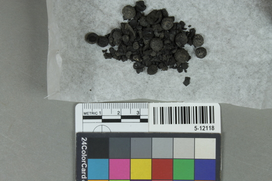 Hearst Museum object titled Seeds, accession number 5-12118, described as Seeds, Africa; Mali, Tilemsi Valley, Karkarichinkat; Nord; Sample 1; 130-140 cms depth February, 1972. 5-12118, acc no. 3001. Collector: Andrew Smith. Donor: University appropriation. Attributions of dates, culture and use: Neolithic, 2200 to 1360 B.C. Description: Seeds- various. Published: Smith, Andrew; Adrar Bous and Karkarichinkat: examples of post-Paleolithic human adaptation in the Saharan and Sahel zones of West Africa. Unpublished doctoral dissertation, U.C. Berkeley, June, 1974