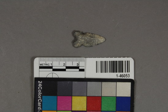 Hearst Museum object titled Arrowhead, accession number 1-46053, described as Arrow point, gray flint