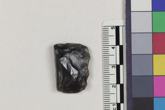 Hearst Museum object titled Flake fragment, accession number 16-14373, described as Projectile point fragment; obsidian; triangular; weight: 3.75 grams; length: 1.95 cm; width: 2.5 cm; depth: 0.69 cm.