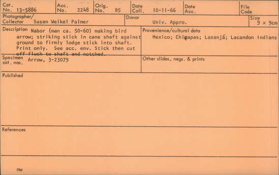 Documentation associated with Hearst Museum object titled Black-and-white print, accession number 13-5886, described as Nabor (man ca. 50-60) making bird arrow; striking stick in cane shaft against ground to firmly lodge stick into shaft. Print only. See accession envelope. Stick then cut off flush to shaft and notched.