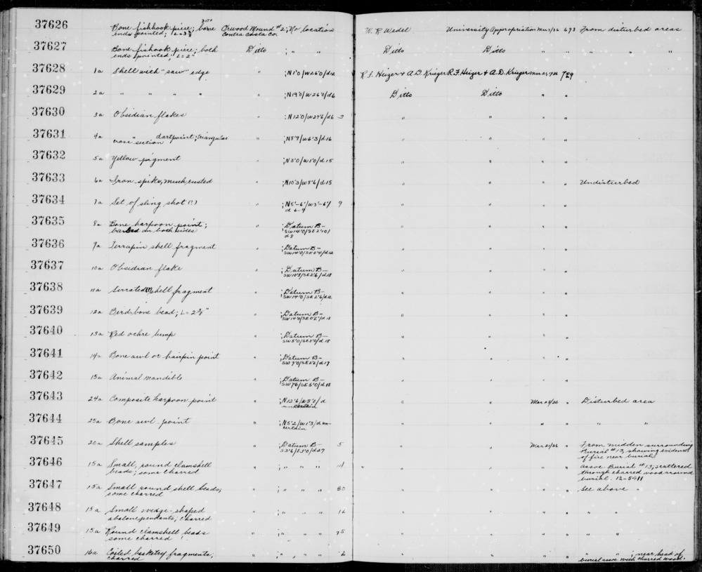 Documentation associated with Hearst Museum object titled Shell fragment, accession number 1-37638, described as Serrated (?).