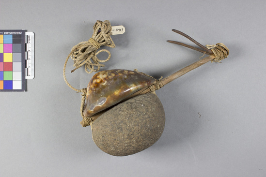 Hearst Museum object titled Lūhe‘e (octopus lure), accession number 11-36983, described as Double-pronged iron octopus lure; cowrie shell and stone lashed to stick.  Cowrie shell is lashed to stone around one end of stick; double pronged hook fastened to opposite end with twine extending through holes in cowrie shells.