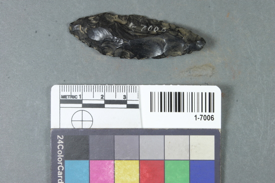 Hearst Museum object titled Points, accession number 1-7006, described as Obsidian points and point fragments