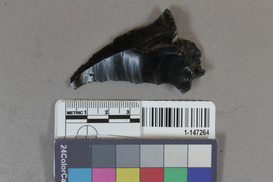 Hearst Museum object titled Flake, accession number 1-147264, described as worked obsidian flake