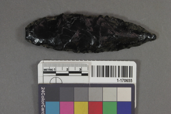 Hearst Museum object titled Blade, accession number 1-170655, described as obsidian blade