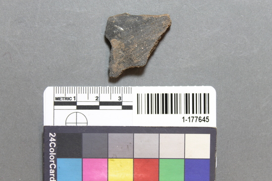 Hearst Museum object titled Potsherd, accession number 1-177645, described as Rim.