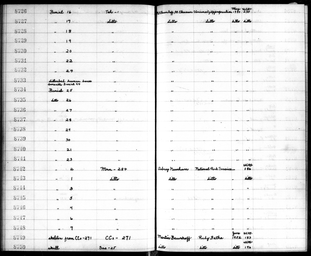 Documentation associated with Hearst Museum object titled Human remains, accession number 12-8744+A, described as Remains of one young adult (20 year old) male and one adult, sex unknown.