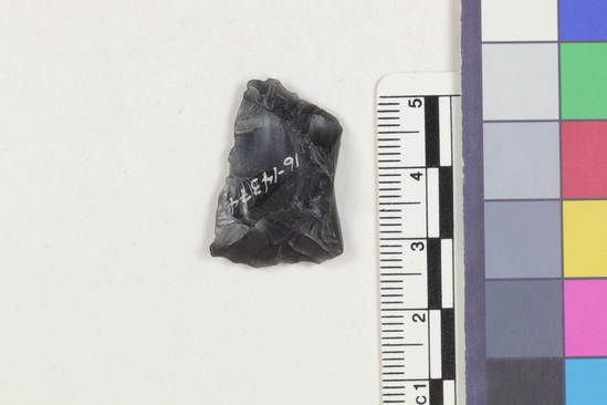 Hearst Museum object 2 of 2 titled Flake fragment, accession number 16-14374, described as Projectile point fragment; obsidian; triangular; weight: 2.15 grams; length: 1.88 cm; width: 2.68 cm; depth: 0.4 cm.