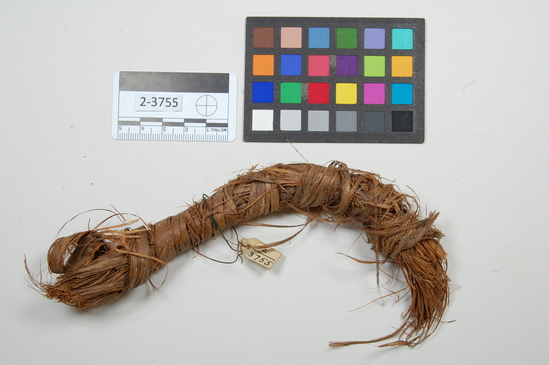 Hearst Museum object 1 of 2 titled Bark, accession number 2-3755, described as Bundle of cedar bark.