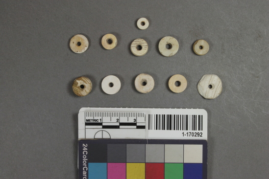 Hearst Museum object titled Shell beads, accession number 1-170292, described as clam shell disc beads