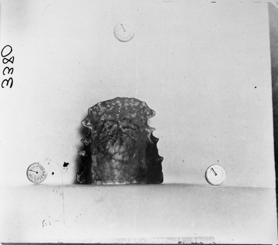 Hearst Museum object titled Black-and-white negative, accession number 15-3380, described as Palatogram N, iñ