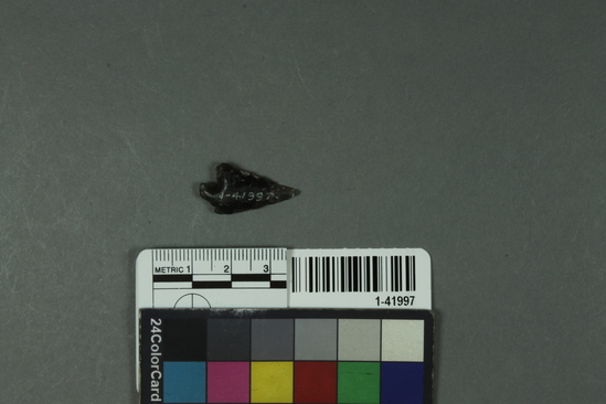 Hearst Museum object titled Projectile point, accession number 1-41997, described as Obsidian arrowpoint