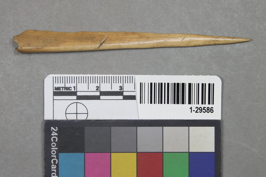 Hearst Museum object titled Awl fragment, accession number 1-29586, described as Bone awl point.