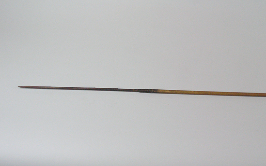 Hearst Museum object titled Arrow, accession number 16-2482, described as Arrow; barbed hardwood point, need shaft, 2 feathers.