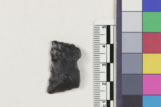 Hearst Museum object titled Flake fragment, accession number 16-14380, described as Projectile point fragment; obsidian; triangular; weight: 2.64 grams; length: 1.75 cm; width: 2.86 cm; depth: 0.47 cm.