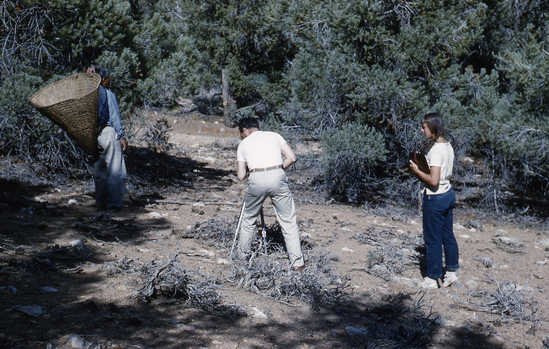 Hearst Museum object titled Color slide, accession number 25-4879, no description available.