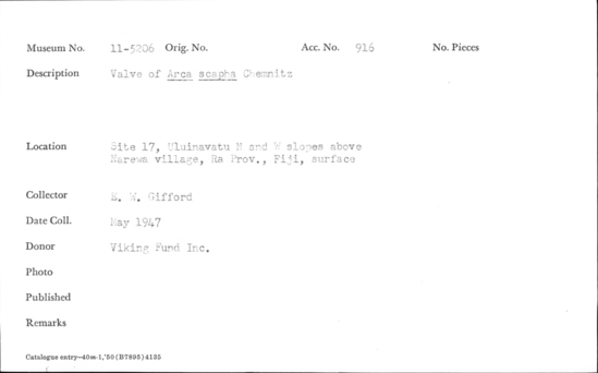 Documentation associated with Hearst Museum object titled Shell: bivalve, accession number 11-5206, described as Valve of Arca scapha Chemnitz