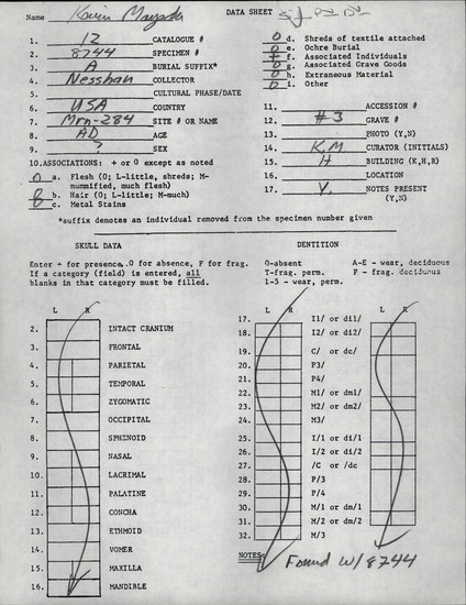 Documentation associated with Hearst Museum object titled Human remains, accession number 12-8744A, described as Remains of one adult, sex unknown.