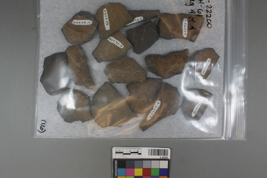 Hearst Museum object titled Flakes, accession number 2-22200, described as Basalt flakes