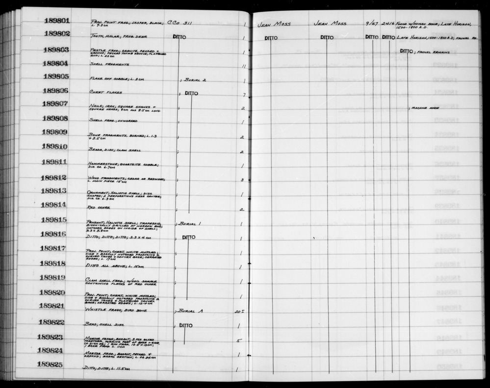 Documentation associated with Hearst Museum object titled Shell fragment, accession number 1-189808, described as Unworked; Late Horizon, 1500-1800 A.D.