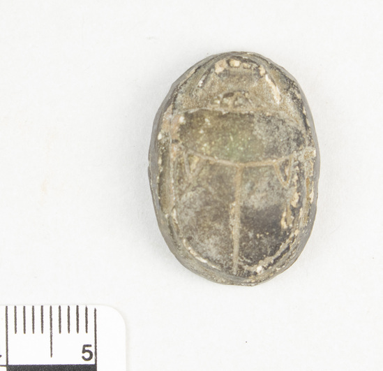 Hearst Museum object 3 of 8 titled Scarab, accession number 5-13943, described as Scarab: Greenish tint on back and holes drilled by head and tail. Much worn off on sides and inscription on underside. Gash on left side.