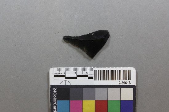 Hearst Museum object titled Flake, accession number 2-39616, described as Of obsidian; utilized.