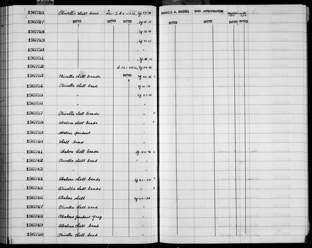 Documentation associated with Hearst Museum object titled Bead, accession number 1-196742, described as Olivella shell.