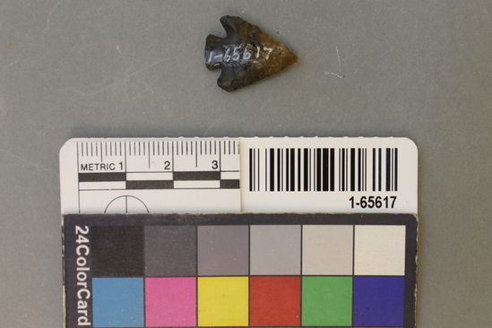 Hearst Museum object titled Point, accession number 1-65617, described as Type SCb-2: chert