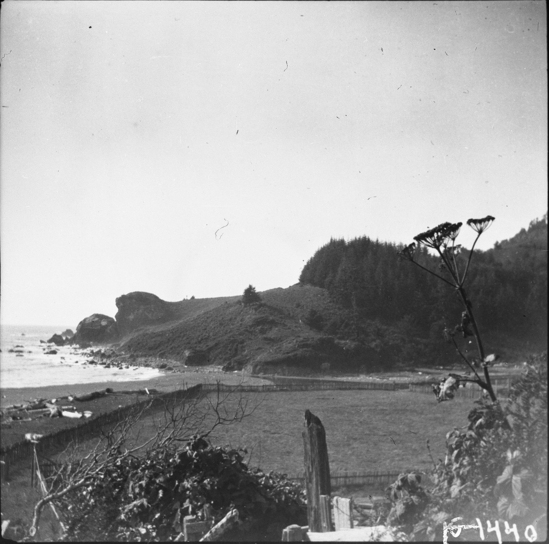 Hearst Museum object titled Black-and-white negative, accession number 15-1440, described as Northernmost ranch