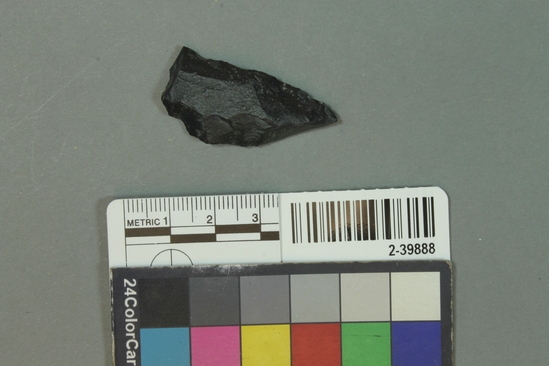 Hearst Museum object titled Stone tool, accession number 2-39888, described as Basalt artifact fragment