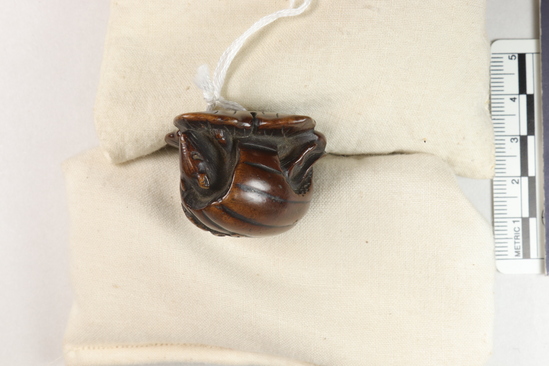 Hearst Museum object titled Netsuke, accession number 9-18858, described as Netsuke; Melon on vine, resting on leaf; rat peering out of open end of melon; H 2.6 cm X L 3.9 cm