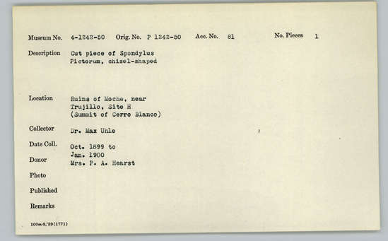 Documentation associated with Hearst Museum object titled Worked shell, accession number 4-1244, described as Cut piece of Spondylus pictorum, chisel-shaped.