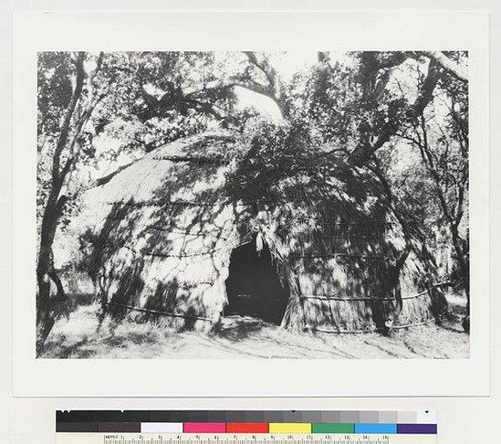 Hearst Museum object titled Black-and-white negative, accession number 15-8265, described as Front of Lower Lake Pomo house