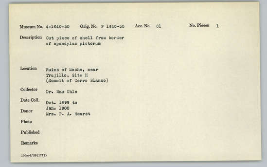 Documentation associated with Hearst Museum object titled Cut shell piece, accession number 4-1643, described as Cut piece of shell from border of Spondylus pictorum.