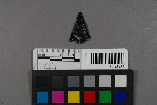 Hearst Museum object titled Point fragment, accession number 1-149431, described as Obsidian projectile, corner notched, stem missing