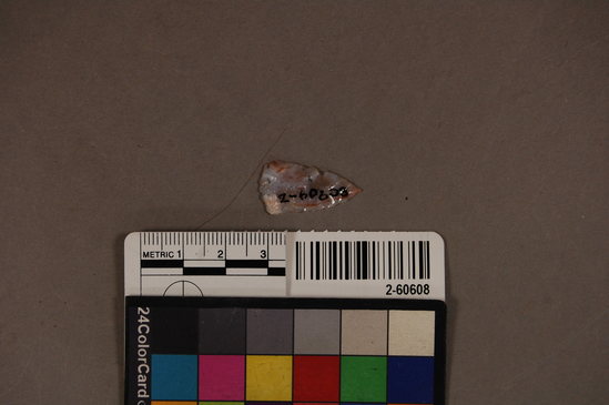 Hearst Museum object titled Projectile point, accession number 2-60608, described as No description given on catalog card.