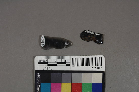 Hearst Museum object titled Utilized flake, accession number 2-29807, described as Obsidian scrapers