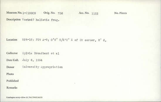 Documentation associated with Hearst Museum object titled Shell fragment, accession number 1-219909, described as Worked?