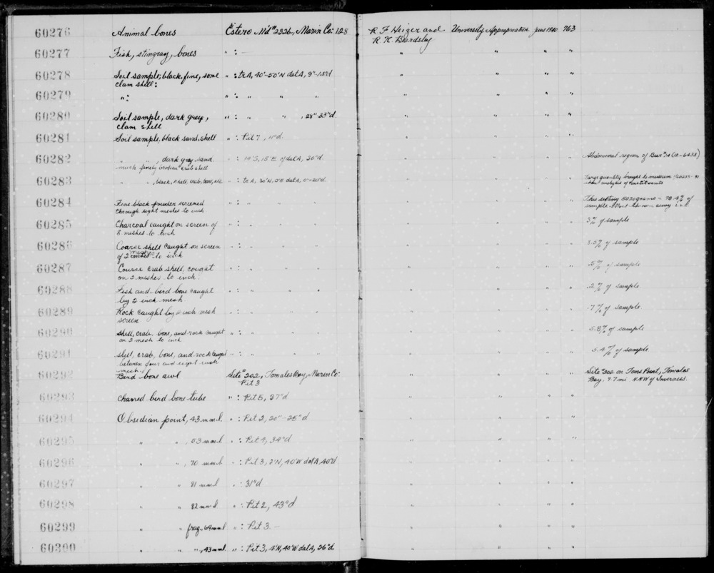 Documentation associated with Hearst Museum object titled Faunal remains, accession number 1-60276.6, described as 2 antelope teeth.