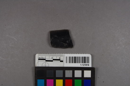 Hearst Museum object titled Blade, accession number 1-121816, described as Obsidian blade fragment